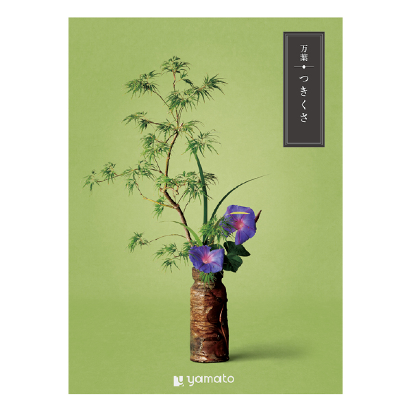 �J�^���O�M�t�g ���t ������